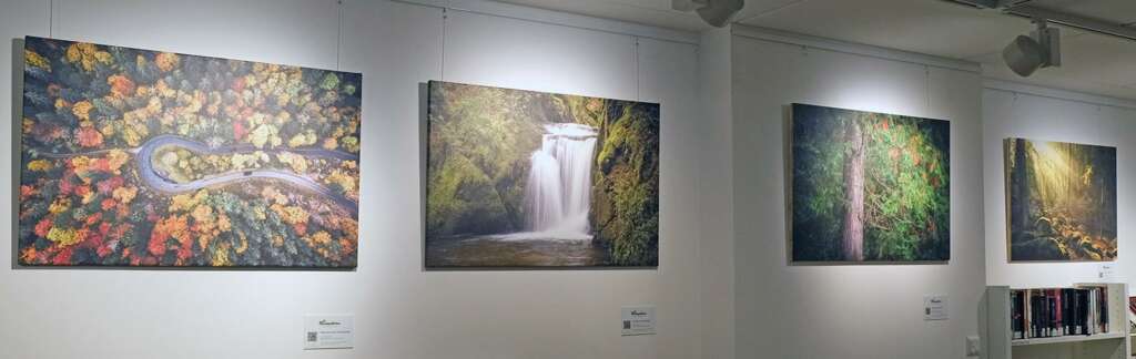 Titelbild zum Beitrag: Ausstellung in der Mediathek Bad Krozingen - ab November 2020