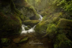 Heimatfoto aus dem Schwarzwald, Bach im Wald mit Wasserfällen