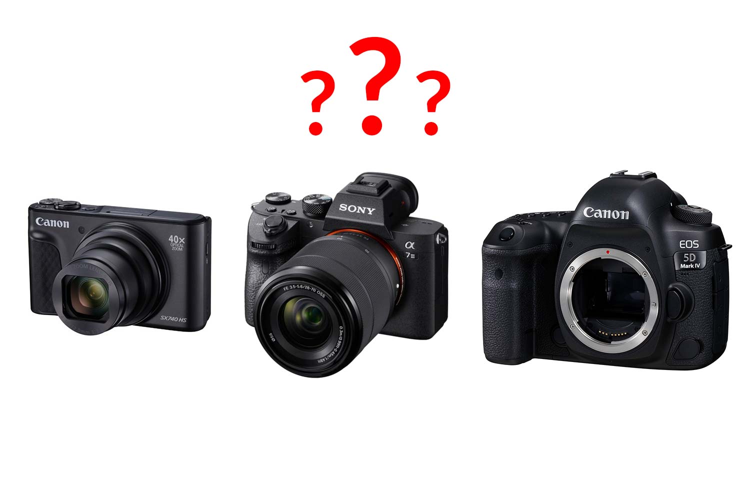 Welche Kamerasystem ist das richtige für mich? Sollte ich eine DSLR (Spiegelreflex Kamera), eine DSLM (spiegellose Systemkamera), eine Bridgekamera oder eine Kompaktkamera kaufen