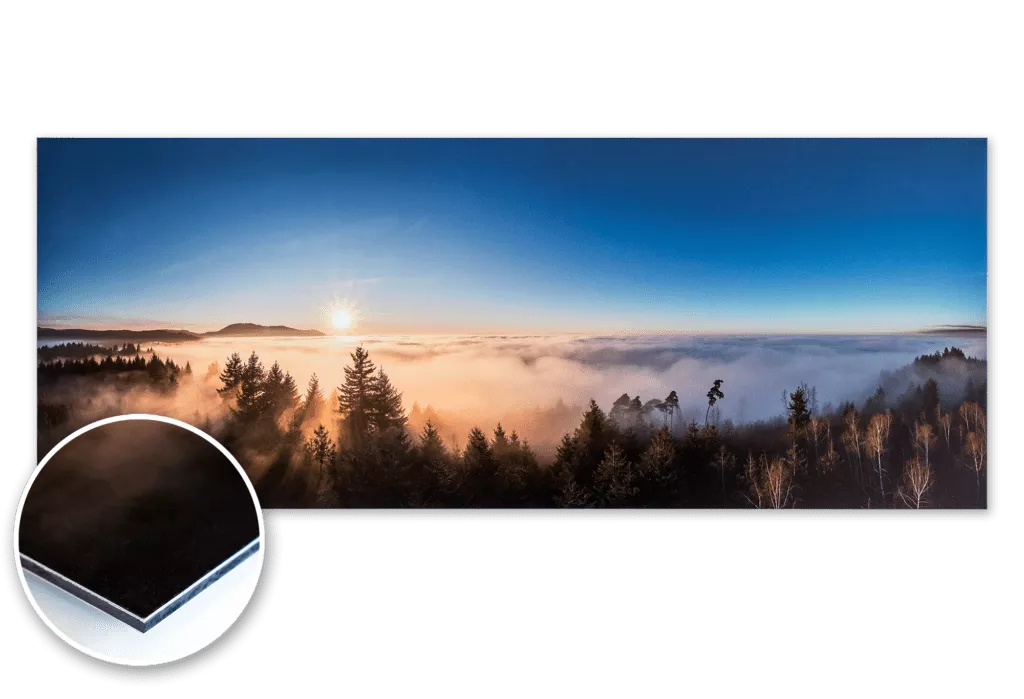 Ein Foto aus dem Schwarzwald mit Wald, Sonne und Nebel, gedruckt im UV-Direktdruck auf Alu-Dibond