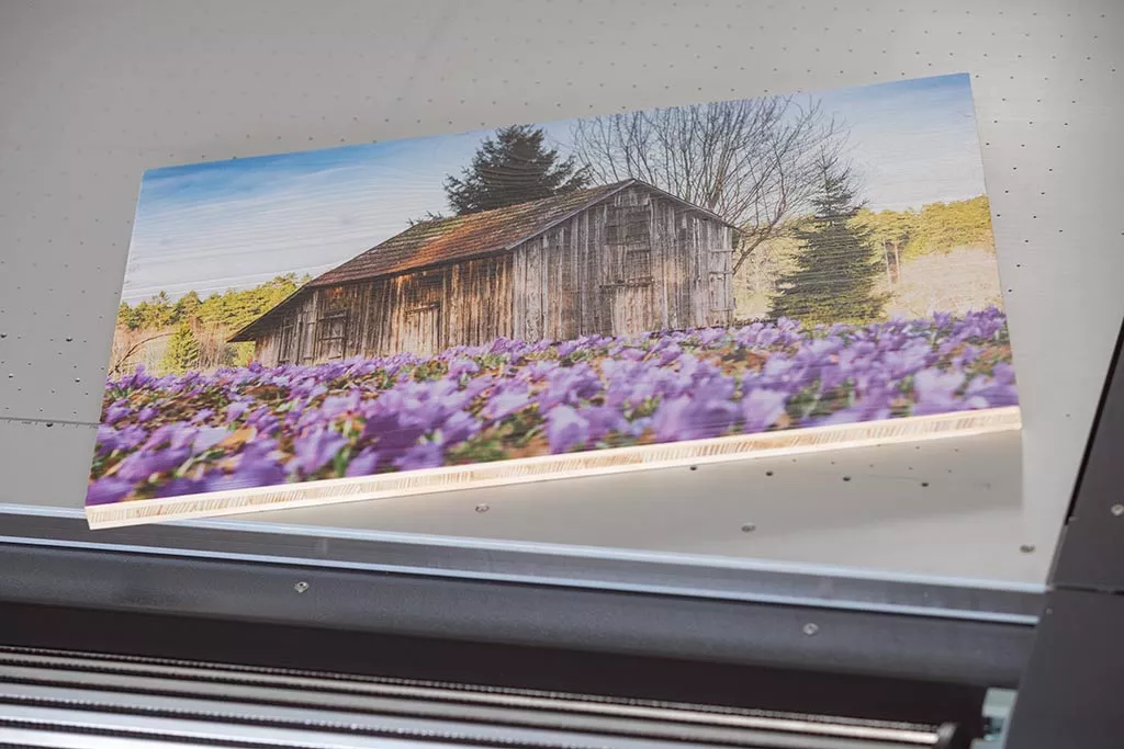Ein Foto mit einem Haus im Blumenfeld gedruckt auf gebürstetes Holz (3-Schicht-Platte Fichte/Tanne) im UV-Direktdruck liegt fertig auf dem Drucker