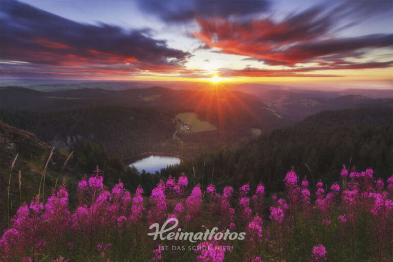Nick Schmid - Sonnenaufgang, Feldberg, Schwarzwald, Nick Schmid