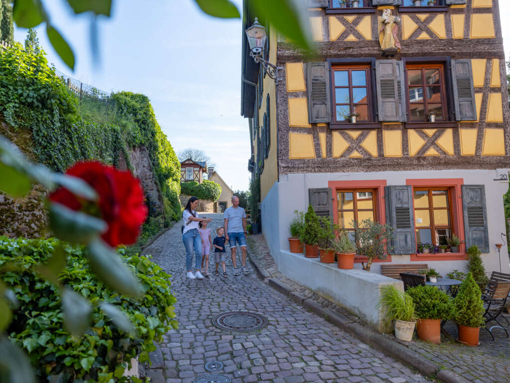 Erlebnisregion Europa-Park ins beste Licht gesetzt