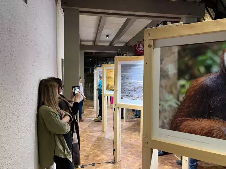 Fotoausstellung bei den Fototagen Freinsheim