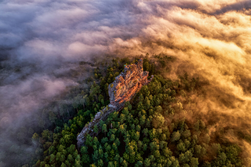 Heimatfotos-Ausstellung im Museum unterm Trifels