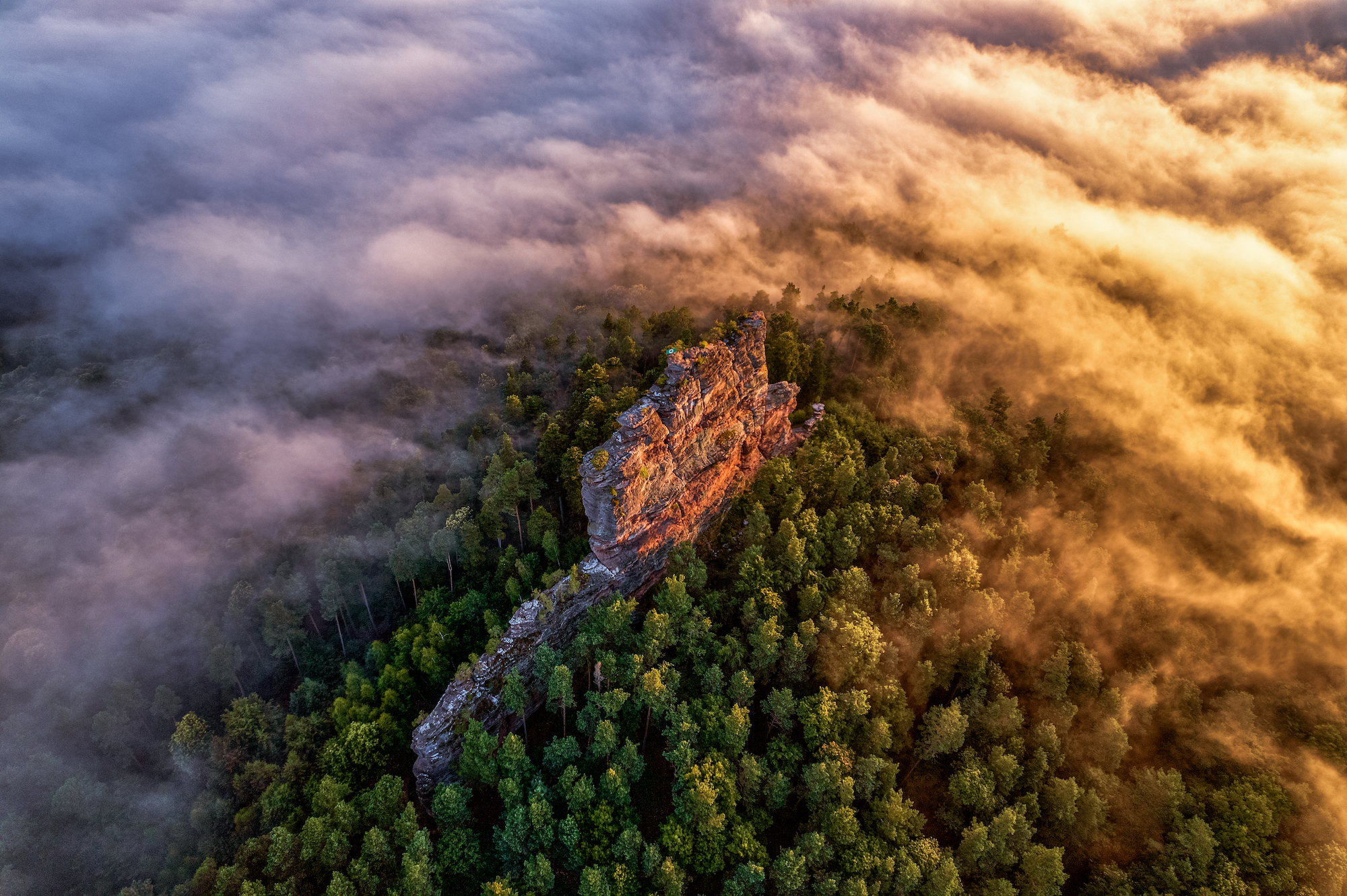 "Asselstein" von Christian Fernandez Gamio - Titelbild der Foto-Ausstellung "Eine mystische Reise durch den Pfälzerwald"