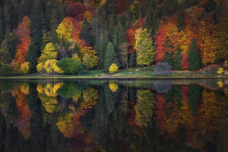 Herbst am Feldsee von Nick Schmid. Titelbild der Heimatfotos-Ausstellung am Feldberg