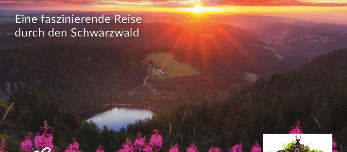 Ausstellung im Schwarzwaldhaus der Sinne