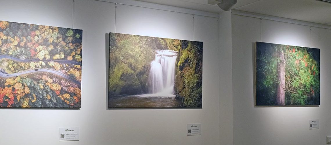 ausstellung_badkrozingen_schmal
