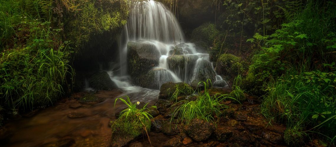 Foto Gertelbachfälle von Niko Benas ist das Titelbild der Ausstellung "Faszinierende Reise durch den Schwarzwald"