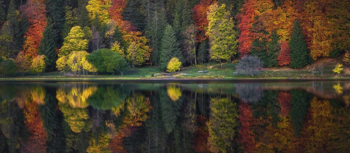 Herbst am Feldsee von Nick Schmid. Titelbild der Heimatfotos-Ausstellung am Feldberg