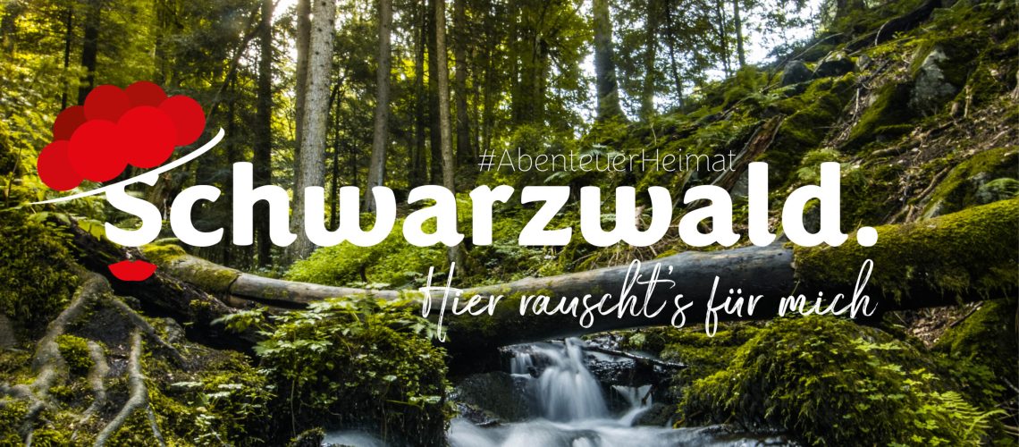 teaser_schwarzwald26